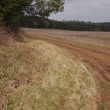 Findspot - Neolithic or Bronze Age flint
