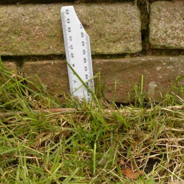 An 18th(?) century garden wall to a garden facing the Lunt Fort. The ruler is in centimeters to show the dimensions of the bricks. The wall's location suggests it was associated with Baginton Hall. | Image courtesy of William Arnold