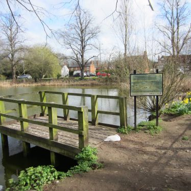 Long Itchington pond, 2017. Large pond with trees around, duck resting, daffodils flowering; information board and small pier | Image courtesy of Anne Langley