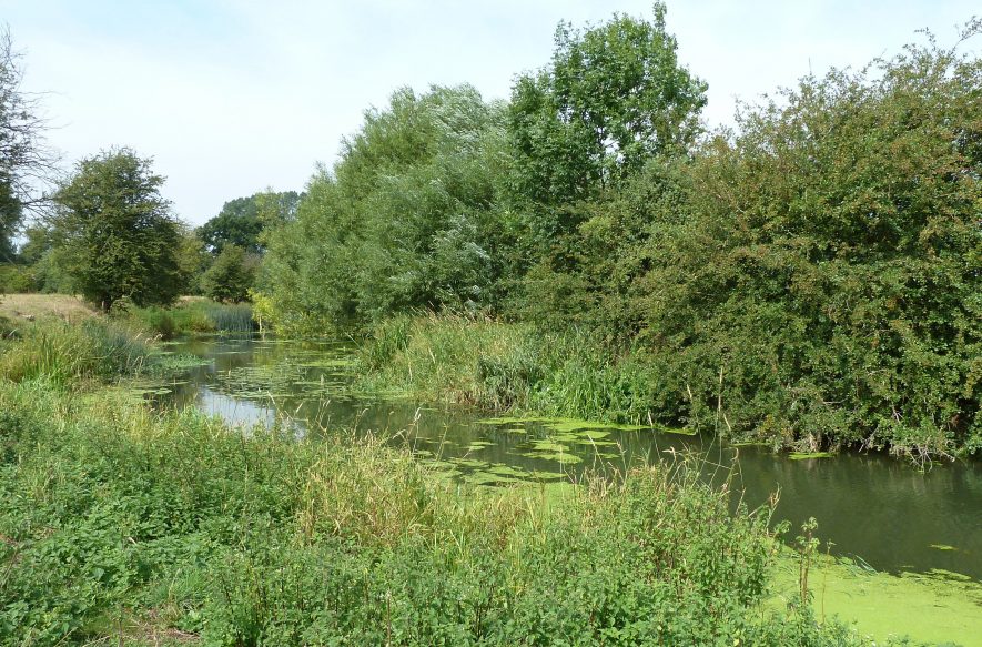 Weston Mill, Weston under Wetherley - Our Warwickshire