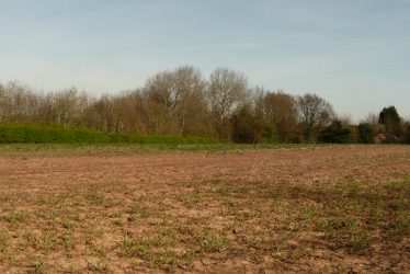 No Visible Remains at Gibbet Hill H.A.A.A. Site
