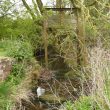 Ruined structure, Inchford Brook, Beausale