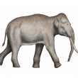 Straight-tusked Elephants in Warwickshire