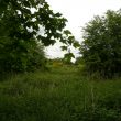 Baginton Hall park/garden, Baginton