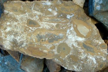 Ironstone, Jurassic Seas, Storms and Sea-level Change