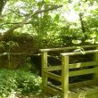 Site of Newbold Revel Park