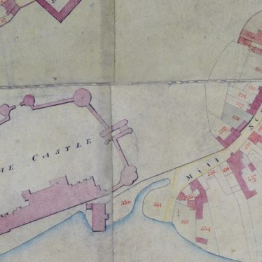 Plan of the Borough Town of Warwick