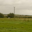 Ditches beside the River Avon at Bretford