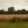 Undated trackway called Tutbury Lane