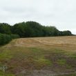 Pits at Ticknell Spinney