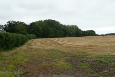Pits at Ticknell Spinney