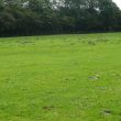 King's Hill Deserted Medieval Settlement
