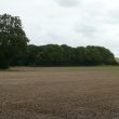Site of Brickworks S of Brick Kiln Spinney