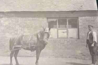 Exhall, nr Coventry. Pit Pony