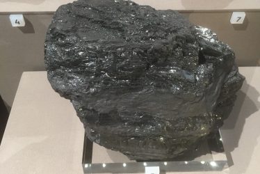 Warwickshire Thick Coal