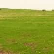 Ridge and Furrow with Headland or Hollow Way