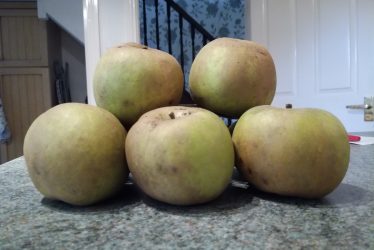 The Heritage Cooking Challenge: To Make Apple Pasties