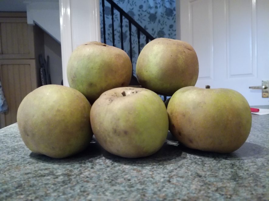 The Heritage Cooking Challenge To Make Apple Pasties Our Warwickshire