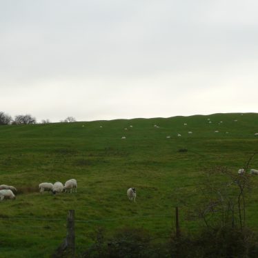 Ridge and furrow cultivation in the parish of Lower and Upper Shuckburgh