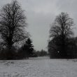 Snow Business