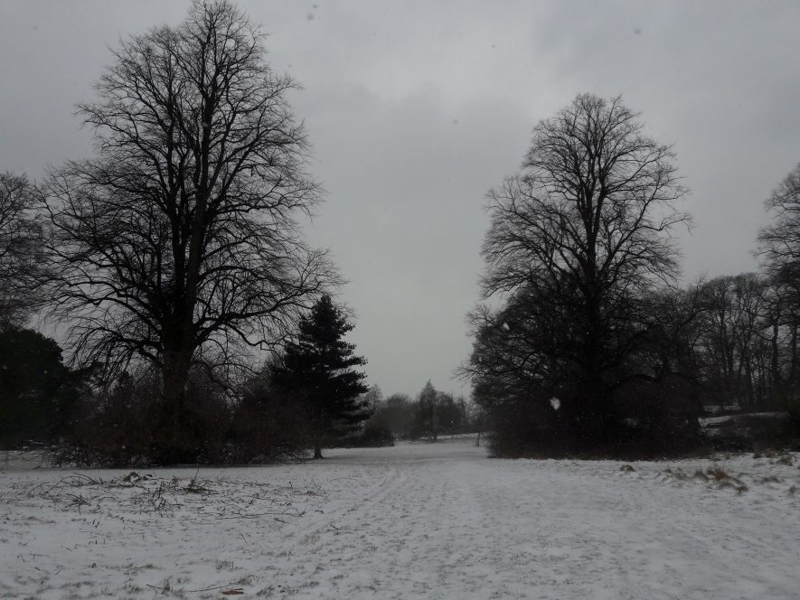 A snowy Priory Park in Warwick, March 2018. Two trees frame the path. | Image courtesy of Benjamin Earl