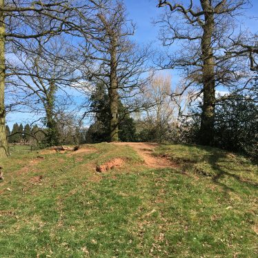 Undated Mound at Abbey Fields