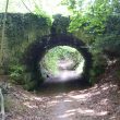 Bridge at Rocky Lane Lodge