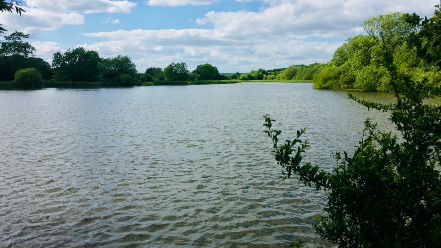 Blustery June day at Wormleighton Reservoir, 2018. A bush edges into shot, as the water pans out ahead. | Image courtesy of Kirsty New