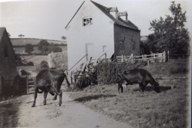 Long Compton. Mill