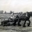 Bickmarsh. Joan Galloway Using Horse Power at Bickmarsh Hall Farm