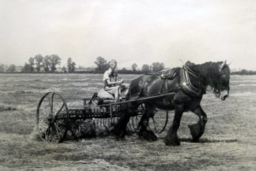 Bickmarsh. Joan Galloway Using Horse Power at Bickmarsh Hall Farm