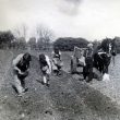 Bickmarsh. Planting potatoes at Bickmarsh Hall Farm