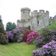 Anne Greville's Notes on Flowers and Gardens