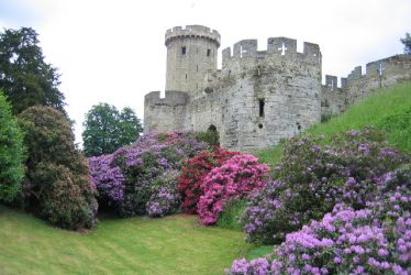 Anne Greville's Notes on Flowers and Gardens