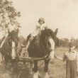 Ladbroke. Ploughing.