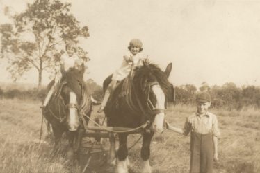 Ladbroke. Ploughing.