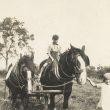 Ladbroke.  Ploughing
