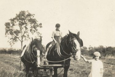 Ladbroke.  Ploughing