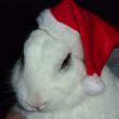 Christmas Time...