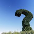 What's in a Question?