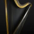 Warwickshire in 100 Objects: 19th Century Harp