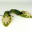 Warwickshire in 100 Objects: Pair of 1920s Slippers