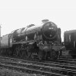 Rugby.  Railway