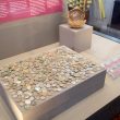 Warwickshire in 100 Objects: Roman Coin Hoard