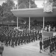 A Warwickshire Farmer at the Victory Parade: Part One