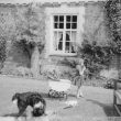 More Memories From Manor Farm, Wroxall