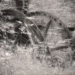 Great Packington.  Packington Mill