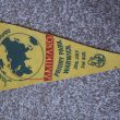 International Scout Jamboree in Warwick, 1979