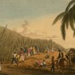 Owen and Elizabeth Mary Pell: Leamington’s Antiguan Sugar Planters