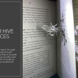 Art and Hidden Histories